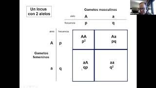 Tema 3 Introducción a la microevolución Variación genética Equilibrio Hardy  Weinberg [upl. by Shyamal]