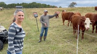 Our FULL Homestead Morning Chore Routine [upl. by Chery442]