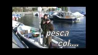 pesca alla trota  col cane [upl. by Ilrebmik]