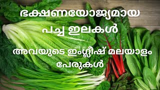 Leafy vegetables Malayalam names and English names [upl. by Lynnet766]