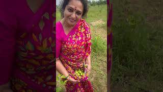 Happy gardening 🌻🌻🌻 seetha cooking villagechef delicious food chefrecipes gardeningideas [upl. by Oisor]