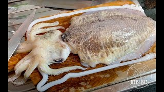 CUTTLEFISH How to clean amp process  quick amp easy cuttlefish recipe [upl. by Repsag]