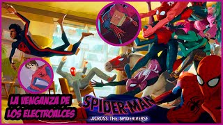 TODOS los Hombre Araña que Salen en la Película Spiderman Across The Spiderverse  Marvel [upl. by Anuala832]