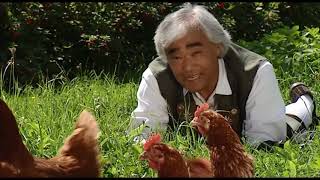 Takeo Ischi  Chicken Yodeling [upl. by Annawoj]