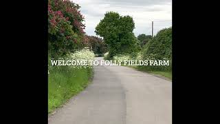 Folly Fields Farm  SEIB Full Livery Yard of The Year 2021 [upl. by Flam]