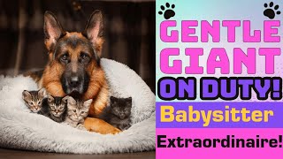 Gentle Giant Babysits Kittens—Full Story 🐕🐾 [upl. by Sabah679]