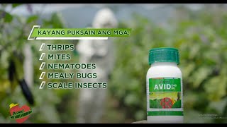 Agway Chemicals Corporation  AVID 240 SC Insecticide [upl. by Bred]