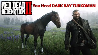 Dark Bay Turkoman Cerberus Get It Early amp Free Red Dead Redemption 2 BestHorses RDR2 [upl. by Justina31]