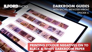 Printing Colour Negatives  ILFORD Photo Darkroom Guides [upl. by Lugo]