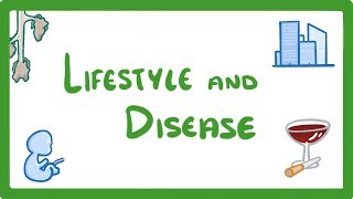 GCSE Biology  Is Your Lifestyle Really a Personal Choice  Lifestyle amp Risk Factors 42 [upl. by Attenyw]