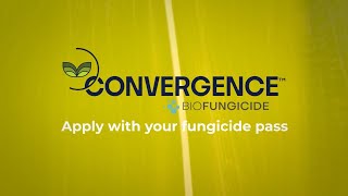 Convergence™ in Action How Our Breakthrough Fungicide Fights Corn Tar Spot [upl. by Clark874]