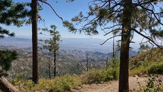 A trip to Mt Lemmon AZ [upl. by Attenyw]