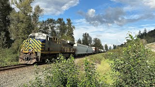 Well Mixed Train CN 305  Sumas Mtn BC Canada 25AUG24 ES44AC 2763 Leading [upl. by Ahola]