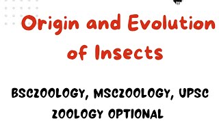 Origin and Evolution of Insects Part 1 [upl. by Aubrie]