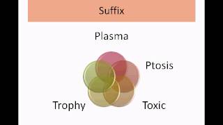 Medical Terminology Part 1Intro to Root Prefix Suffix [upl. by Kaiulani]