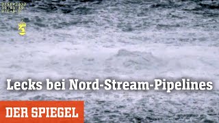 Lecks bei NordStreamPipelines »Diese Vorkommnisse sind in niemandes Interesse«  DER SPIEGEL [upl. by Melda675]