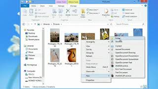 How to Transfer Pictures From Windows Photo Gallery to a Flash Drive [upl. by Siobhan636]