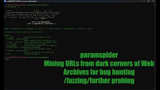 How To Install Paramspider And Fix Error 2024 [upl. by Ayoj]