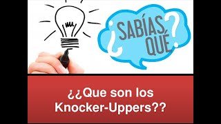 ¿¿Sabias Que  Edicion N 02 ¿Que son los KnockerUppers [upl. by Ninazan]