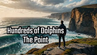 Hundreds of Dolphins  The Point in South Africa [upl. by Haskel]