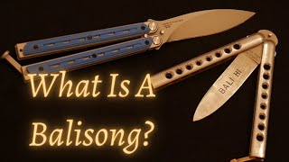 What Is a Balisong What You NEED to Know [upl. by Ettezoj599]