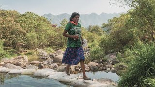 An athlete whose indigenous skills helped make her a marathon star [upl. by Arahd829]