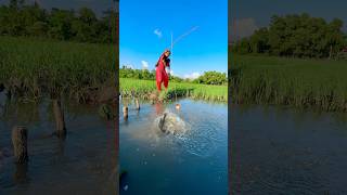 Village Smart Girl Catch Fish by Hook From Village Mud Water With Beautiful Nature besthookfishing [upl. by Thilda]