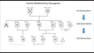 Genogram Drawing Guide  How to Draw Family and Emotional Relationships Genogram EdrawMax [upl. by Tattan]