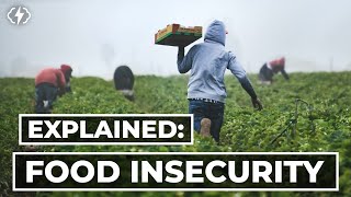 The Truth About Food Insecurity [upl. by Akemrej]