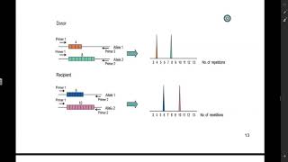 STR Analysis [upl. by Enialb]