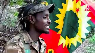 Wallee Jaal Dachee Gammachuu KILAASHIIKOO New Oromo music 2023 [upl. by Hillegass724]