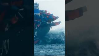 Top Oceanographer Reveals North Sea Secrets ytshorts shorts facts ocean [upl. by Eceryt651]