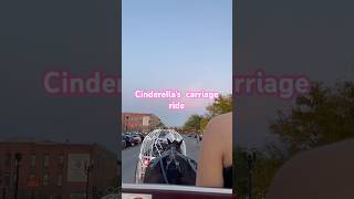 Cinderella carriage🐎ytshorts shortsvideo cinderella carriage tour yt shorts christmas [upl. by Jamel453]