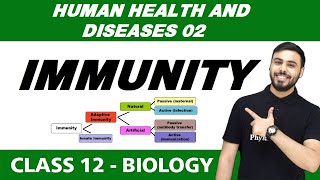 Human Health and Diseases 02  Immunity  Class 12 NCERT [upl. by Chaffin]