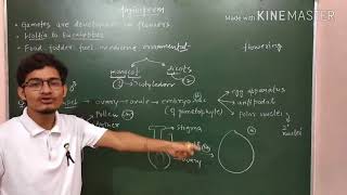 Double fertilisation concept and introduction to angiosperms [upl. by Selhorst]