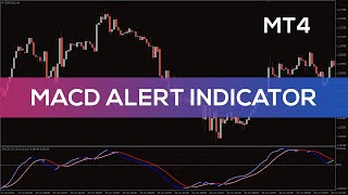 MACD Alert Indicator for MT4  BEST REVIEW [upl. by Collin]