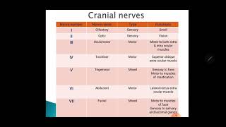 practical physiology 2nd term 2024 for dental students lecture 1  Cranial nerves examination [upl. by Shuler]