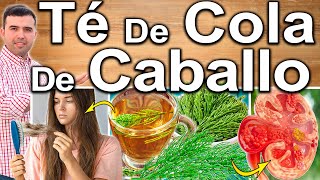 TE DE COLA DE CABALLO EN AYUNAS ¿Para Qué Sirve  Beneficios Para Tu Salud Y Belleza [upl. by Assillem]