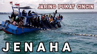 Detik Detik Penangkapan kawanan Ikan JENAHA Dengan Pukat Cincin LAUT ACEH [upl. by Hoon409]