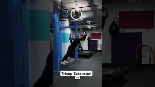 Tricep Extension Trx [upl. by Einnaffit637]