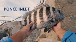 Fishing amp Exploring Ponce inlet FL Crazy Sheepshead ACTION [upl. by Yuma]