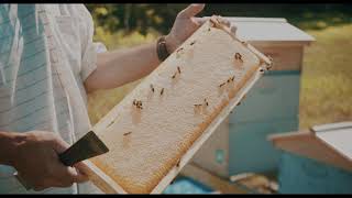 Pinelawn Memorial Park Honey Bee Program [upl. by Loftis]