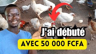 Comment débuter lélevage des Poules Locales avec 50 000 FCFA [upl. by Leeke]