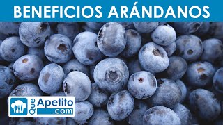 8 Propiedades y Beneficios de los Arándanos  QueApetito [upl. by Farant]