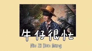 Douyin Song 斗音 Niu Zi Hen Mang 牛仔很忙 Short Clip Jay Chou  Lyric Pinyin Ind Sub [upl. by Benisch207]