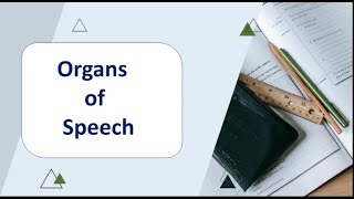 Respiratory System Phonatory Systemand Articulatory System [upl. by Berger]