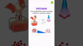 How is Perfume an Example of DIFFUSION [upl. by Danyelle197]