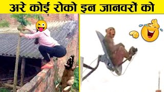 इन जानवरों से पंगा ना बाबा ना 🤣😜 Funny Animals Video 2022 Part5 [upl. by Randall]