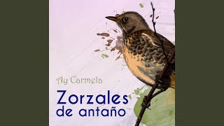 Ay Carmela [upl. by Diella]