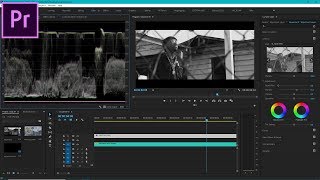 How To Make A Video Black And White In Premiere Pro [upl. by Naillimixam]